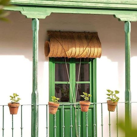 Apartamento A Estrenar En Calle Alcazares Sevilla Eksteriør billede