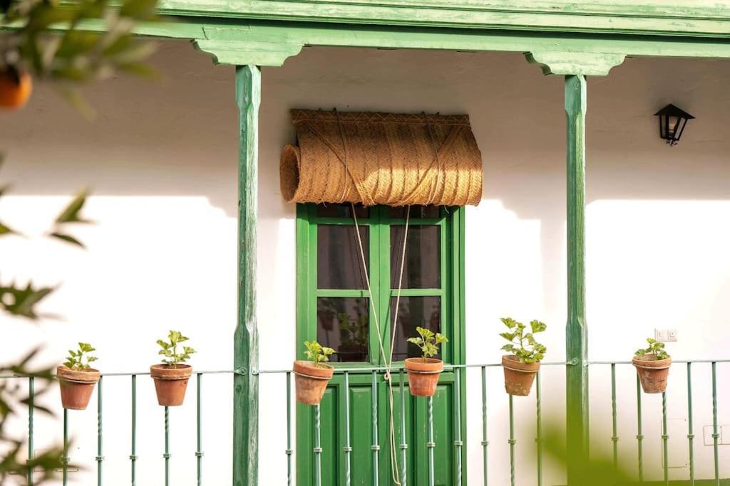Apartamento A Estrenar En Calle Alcazares Sevilla Eksteriør billede
